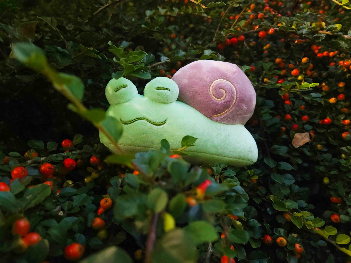 droplet the snail frog