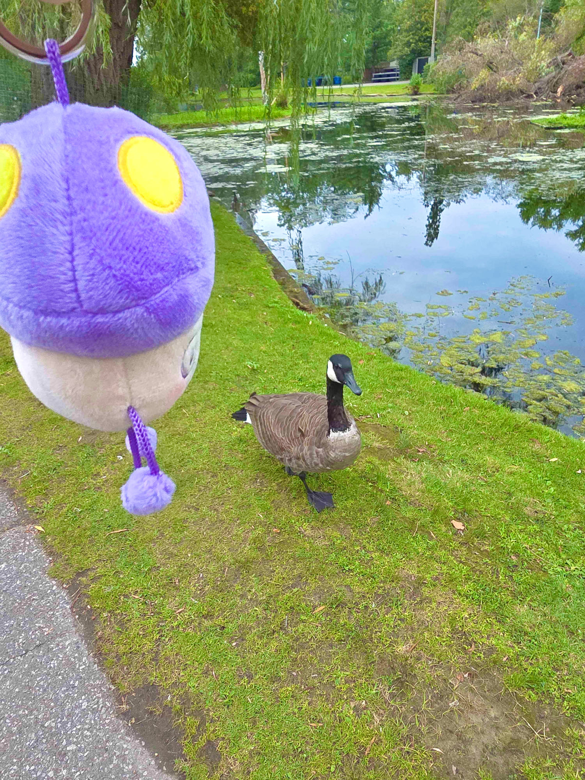 Mogu Plush