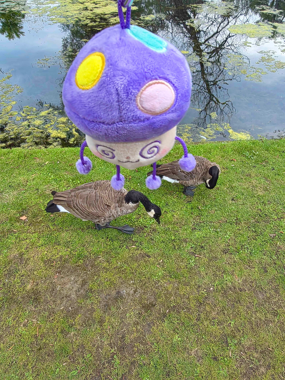 Mogu Plush
