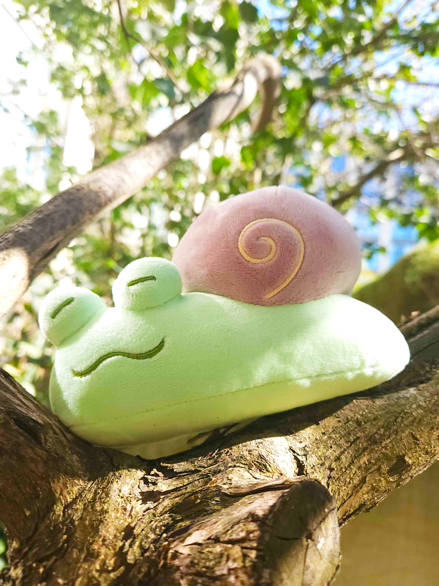 (PRE-ORDER) droplet the snail frog